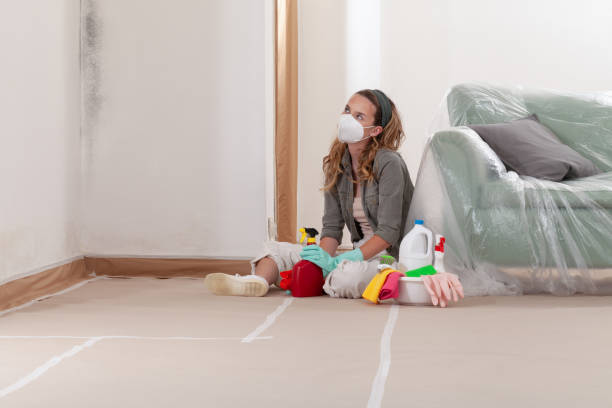Reliable Mold Inspection contractor in Rebersburg, PA by WQB Mold Removal